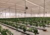 BRIO HYDROPONICS LAUNCHES UNNATI – GUJARAT’S LARGEST HYDROPONICS PARK