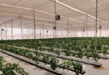 BRIO HYDROPONICS LAUNCHES UNNATI – GUJARAT’S LARGEST HYDROPONICS PARK