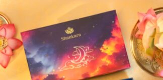 Shankara Introduces the Yoga Nidra Ritual