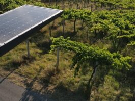 Signify achieves its highest-ever EcoVadis score of 88 and Platinum medal